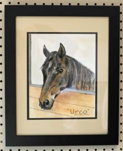 Urco, framed